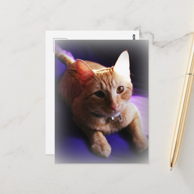 Carte Postale Adorable chat roux tabby sur un canapé violet (Devant/Arrière en situation)