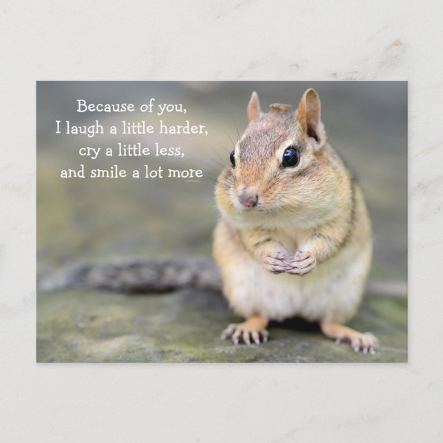 Carte Postale Adorable Chipmunk avec Citation d'amitié (Devant)