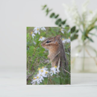 Carte Postale Adorable Chipmunk en fleurs