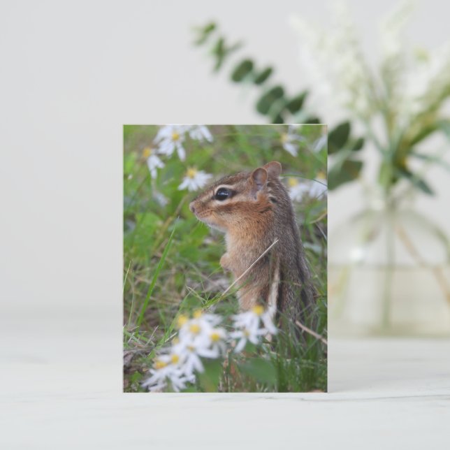 Carte Postale Adorable Chipmunk en fleurs (Debout devant)