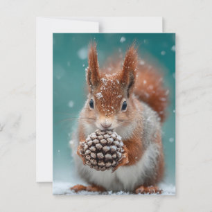 Carte Postale Adorable écureuil rouge dans la neige avec un Pine