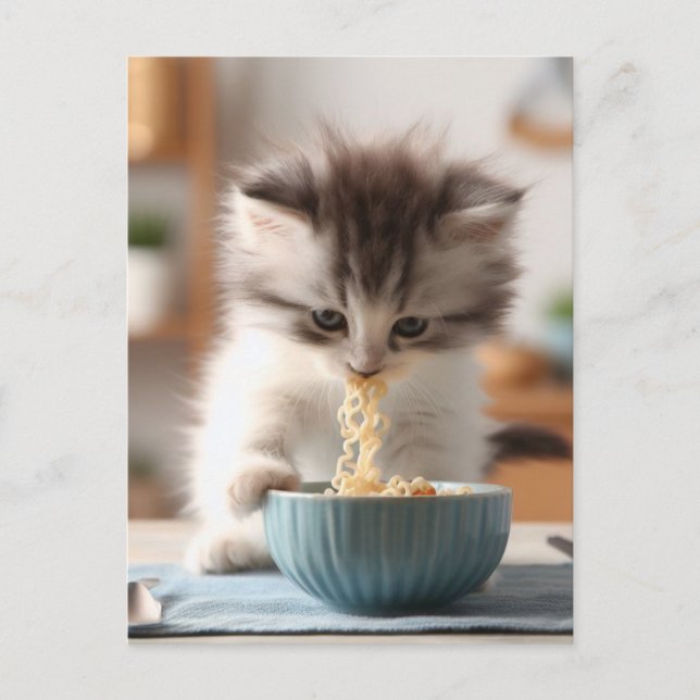 Carte Postale Adorable Fluffy Kitten mangeant des nouilles Ramen (Devant)