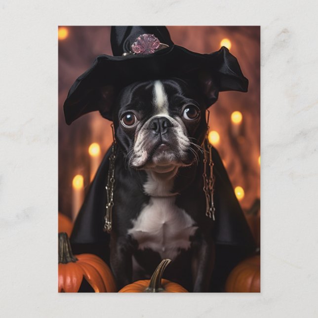 Carte Postale Adorable Halloween Boston Terrier Chien (Devant)