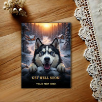 Adorable Husky Sibérien Bon rétablissement 