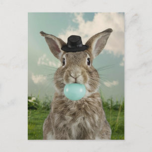 Carte Postale Adorable lapin en casquette Cheval Bleu Bubble Gum