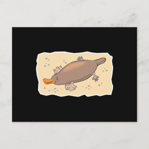 Carte Postale adorable ornithorynque dans le sable