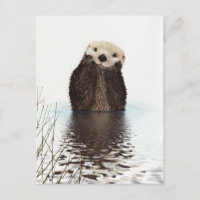 Adorable Otter souriant dans le lac