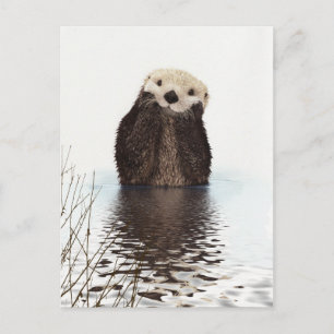 Carte Postale Adorable Otter souriant dans le lac