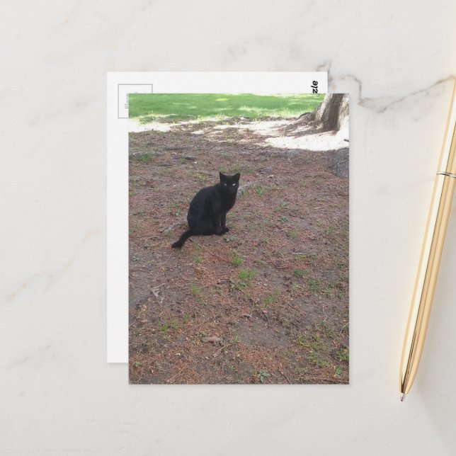Carte Postale adorable petit chat noir errant mignon (Devant/Arrière en situation)