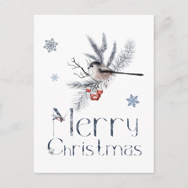 Carte Postale Adorable Petit Oiseau Assis Sur Une Branche De Pin (Devant)