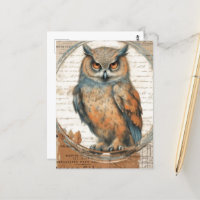 Adorable Vintage Owl Collage