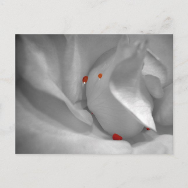 Carte postale Aeolian Watercolor (Devant)