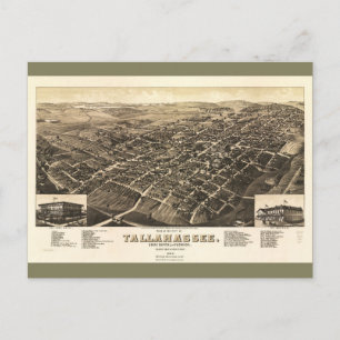 Carte Postale Aerial View of Tallahassee, Florida (1885)