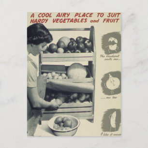 Carte Postale Aéroport cool Pour Légumes