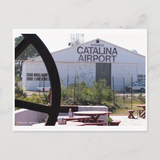 Carte Postale Aéroport de Catalina (Devant)