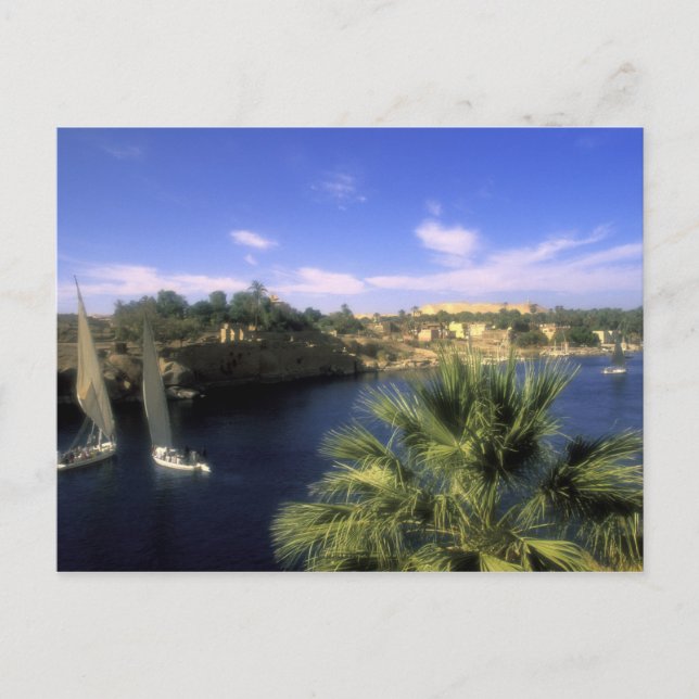 Carte Postale AF, Égypte, Haute-Égypte, Assouan. Nil, (Devant)