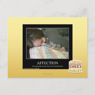 Carte Postale Affection