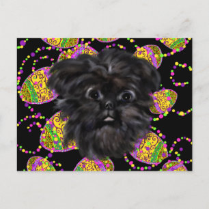 Carte Postale Affenpinscher
