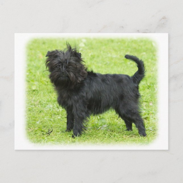 Carte Postale Affenpinscher 9R095D-090 (Devant)
