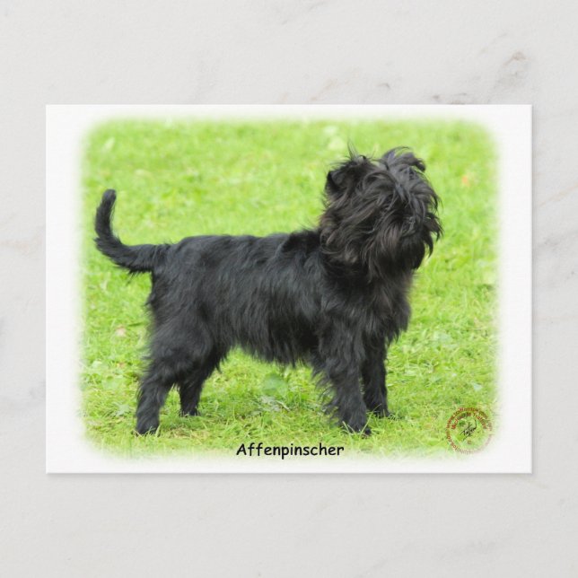Carte Postale Affenpinscher 9R095D-093 (Devant)