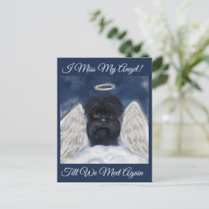 Carte Postale Affenpinscher Angel