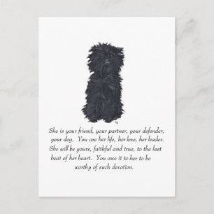 Carte Postale Affenpinscher Souvenir