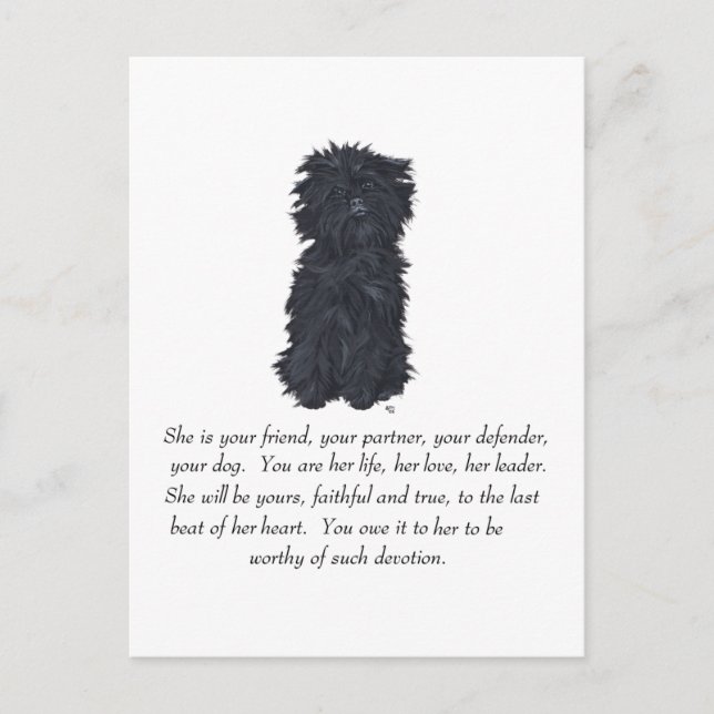 Carte Postale Affenpinscher Souvenir (Devant)