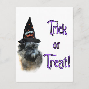 Carte Postale Affenpinscher Trick