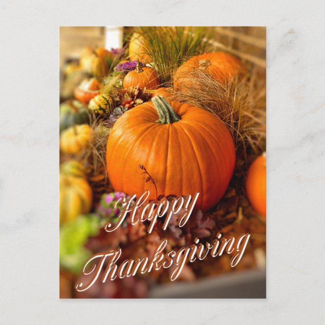 Carte Postale affichage citrouille (Devant)