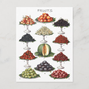 Carte Postale Affichage de divers fruits sur les plateaux