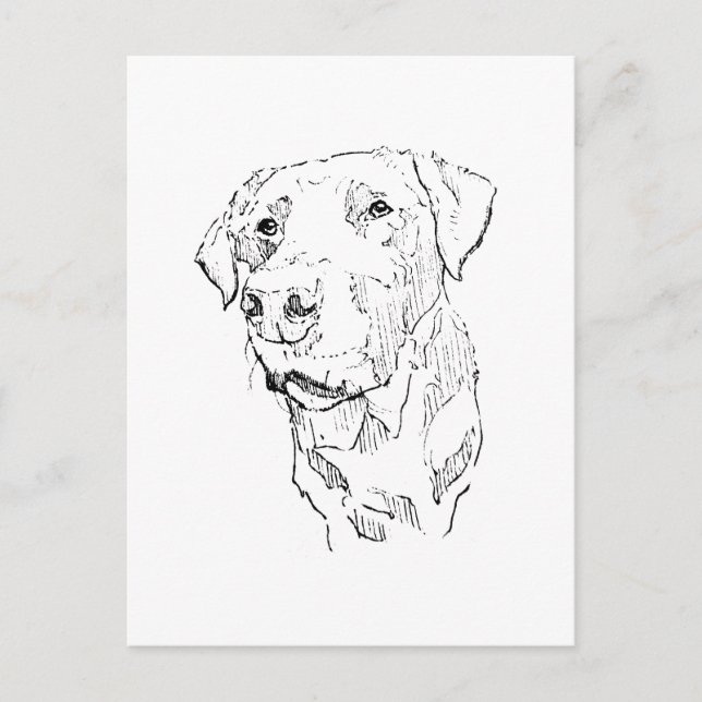 Carte Postale Affiche artistique Labrador Retriever, Impression  (Devant)