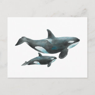 Carte Postale Affiche de baleine orque à l'aquarelle mère et béb