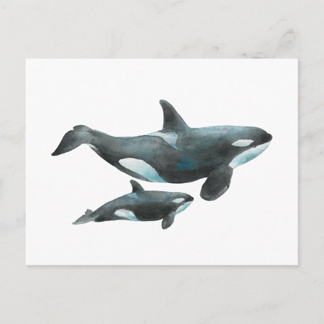 Carte Postale Affiche de baleine orque à l'aquarelle mère et béb (Devant)