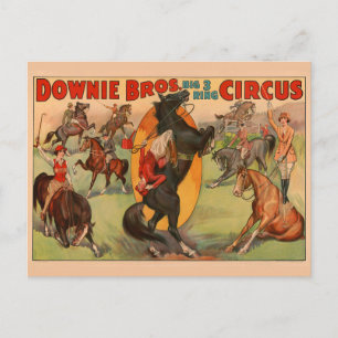 Carte Postale Affiche De Cirque Montrant De Nombreux Chevaux Fai