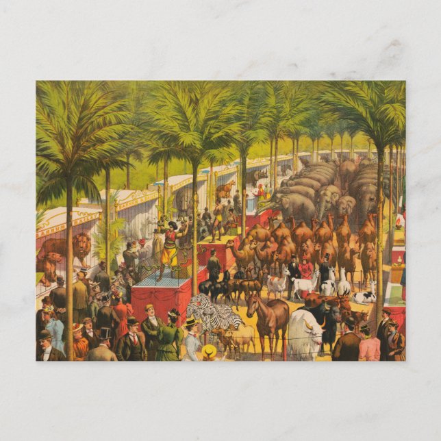 Carte Postale Affiche de cirque vintage d'animaux et d'artistes (Devant)