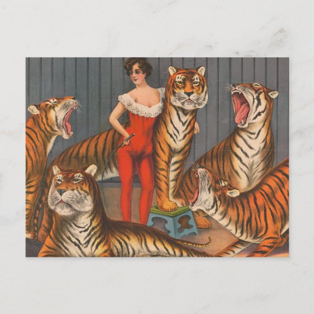 Carte Postale Affiche de cirque vintage de femme avec six tigres (Devant)