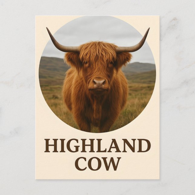 Carte Postale Affiche de portrait de vache des Highlands avec "V (Devant)