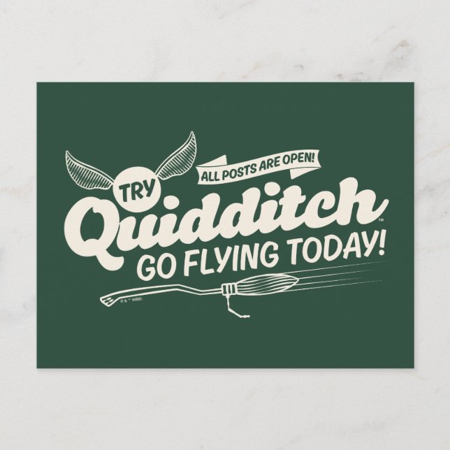 Carte Postale Affiche de recrutement QUIDDITCH™ (Devant)