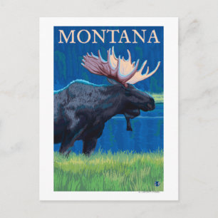Carte Postale Affiche de voyage vintage MontanaMoose