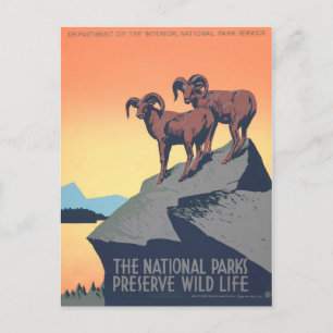 Carte Postale Affiche vintage des années 1930, Mouflon, Personna