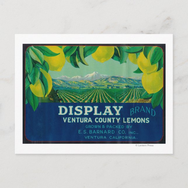 Carte Postale Afficher étiquette citron Ventura, CA (Devant)