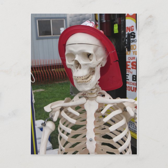 Carte Postale Afficher le squelette (Devant)