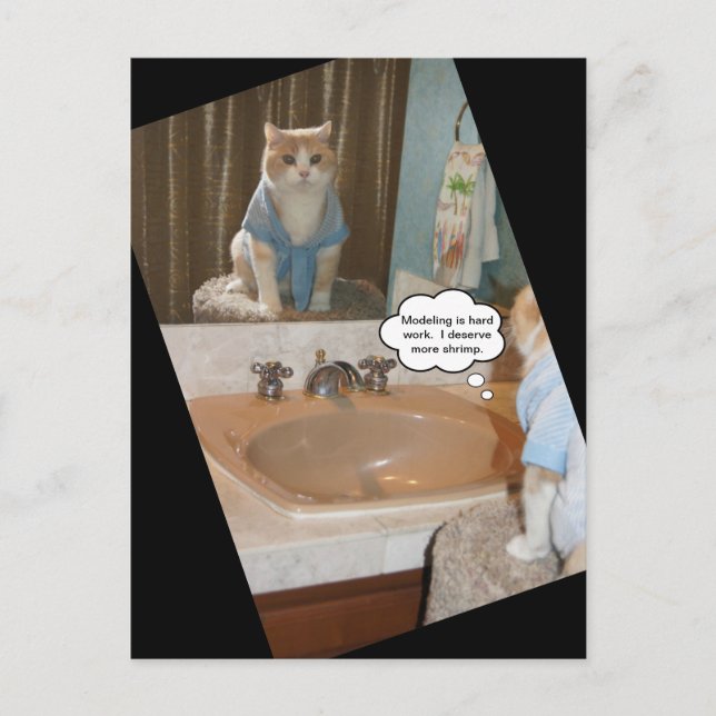 Carte Postale Affirmation amusante de chats à propos d'une augme (Devant)