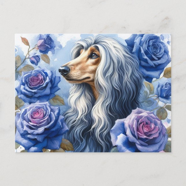 Carte postale Afghan Hound (Devant)