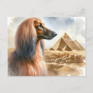 Carte postale Afghan Hound