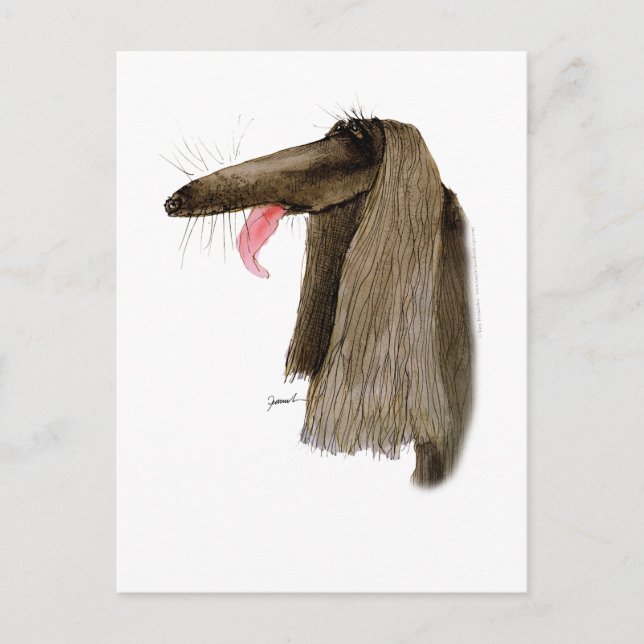 Carte Postale Afghan Hound, tony fernandes (Devant)