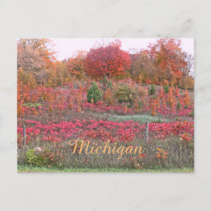 CARTE POSTALE "AFLAME DE COLLINE DE MICHIGAN AVEC COULEUR"