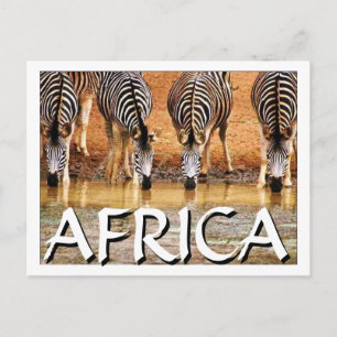 Carte Postale AFRICAIN ZEBRA - (Mojisola Onifade)