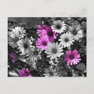 Carte postale africaine BW Floral