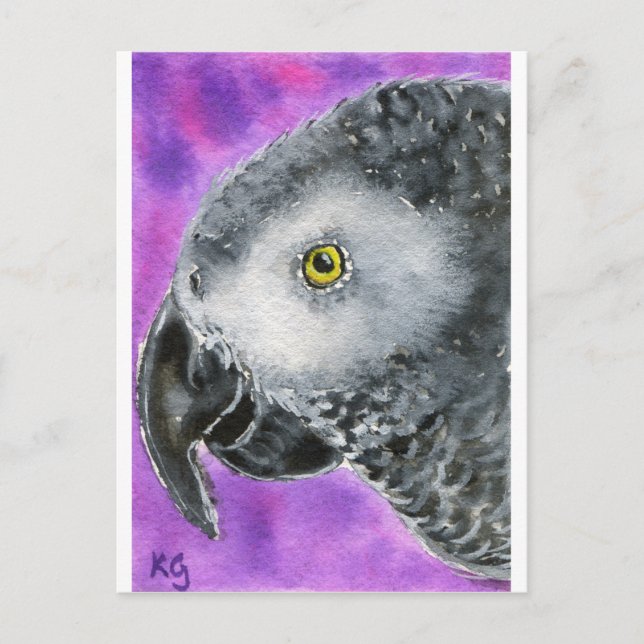 Carte Postale African Grey (Devant)
